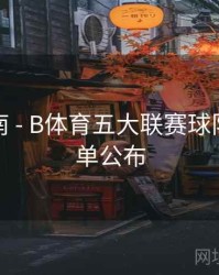 用户指南 - B体育五大联赛球队实力榜单公布