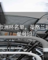英格兰欧洲杯名单，英格兰欧洲杯名单号码
