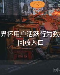 B体育世界杯用户活跃行为数据洞察 - 回放入口