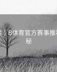新手必读｜B体育官方赛事推荐系统揭秘