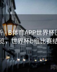 回顾解析 - B体育APP世界杯历史赛程总览，世界杯b组比赛结果