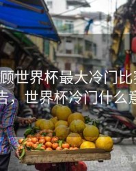 B体育回顾世界杯最大冷门比赛｜统计报告，世界杯冷门什么意思