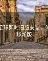 体球网足球即时旧版安装，体球网足球新版