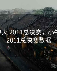 小牛vs热火 2011总决赛，小牛vs热火 2011总决赛数据