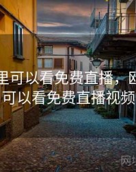 欧冠哪里可以看免费直播，欧冠哪里可以看免费直播视频