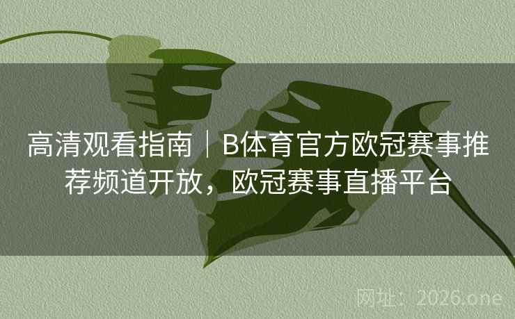 高清观看指南｜B体育官方欧冠赛事推荐频道开放，欧冠赛事直播平台