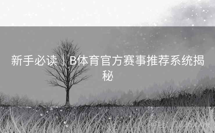 新手必读｜B体育官方赛事推荐系统揭秘
