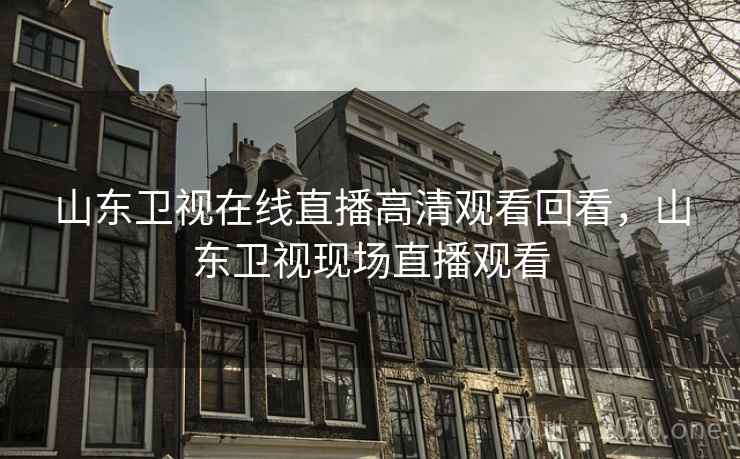 山东卫视在线直播高清观看回看，山东卫视现场直播观看