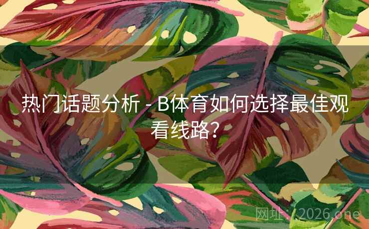 热门话题分析 - B体育如何选择最佳观看线路？