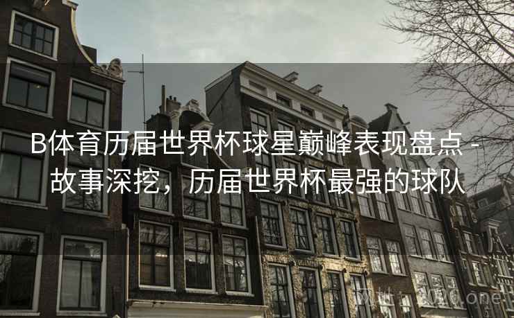 B体育历届世界杯球星巅峰表现盘点 - 故事深挖，历届世界杯最强的球队