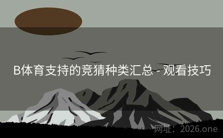 B体育支持的竞猜种类汇总 - 观看技巧