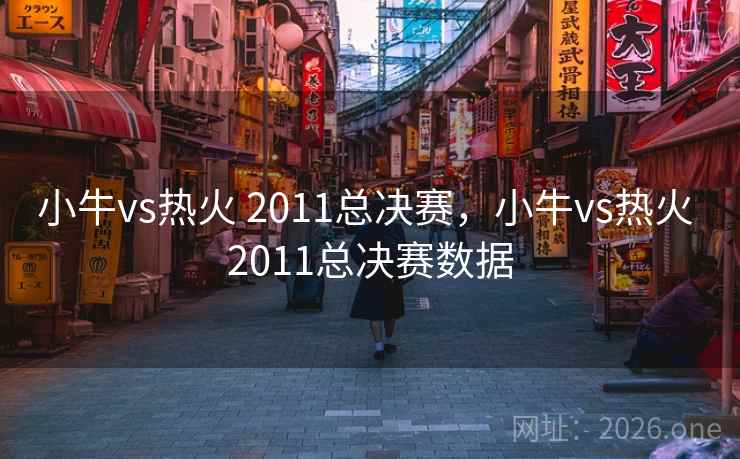 小牛vs热火 2011总决赛，小牛vs热火 2011总决赛数据